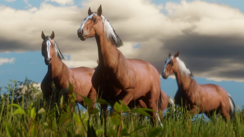 RED DEAD REDEMPTION 2 Releases Wild Life, Hunting & Fishing, and Horses Screenshots