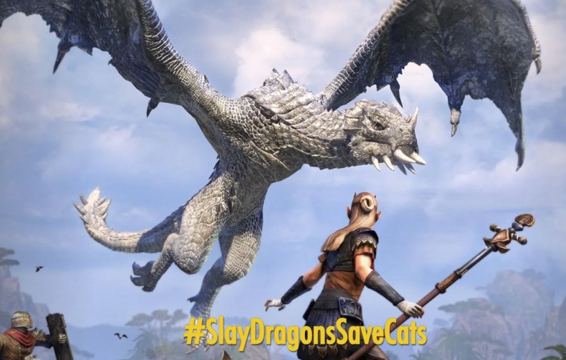 The Elder Scrolls Online Charity Initiative #SlayDragonsSaveCats to Save Cats and Other Pets Kicks Off with Connected In-Game Events and Quests