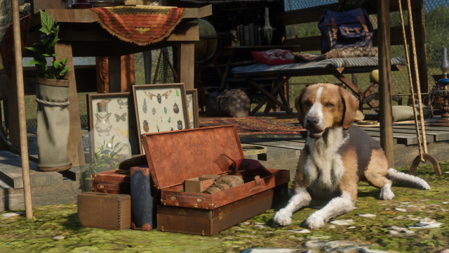 RED DEAD ONLINE News (May 5, 2020)