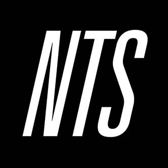 NTS Radio Presents The Sound of GTA: A Musical History